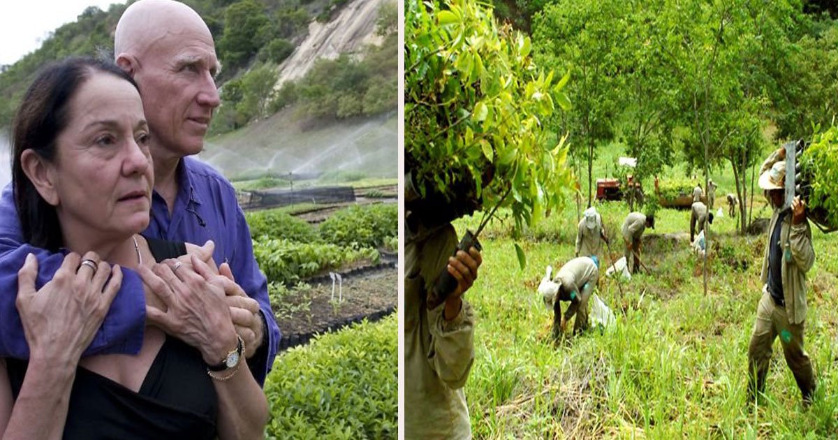 987.jpg?resize=412,275 - Brazilian Couple Planted Over 2 Million Trees To Restore A Destroyed Forest