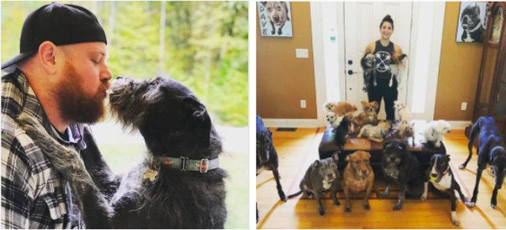 A Couple Saves More Than 100 Old Dogs Nobody Wanted, and We Can’t Hold Back Our Tears