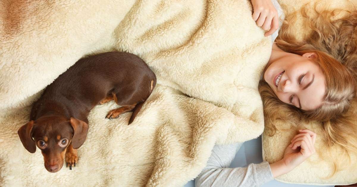 a 16.jpg?resize=412,275 - Women Sleep Better With Dogs Than Men
