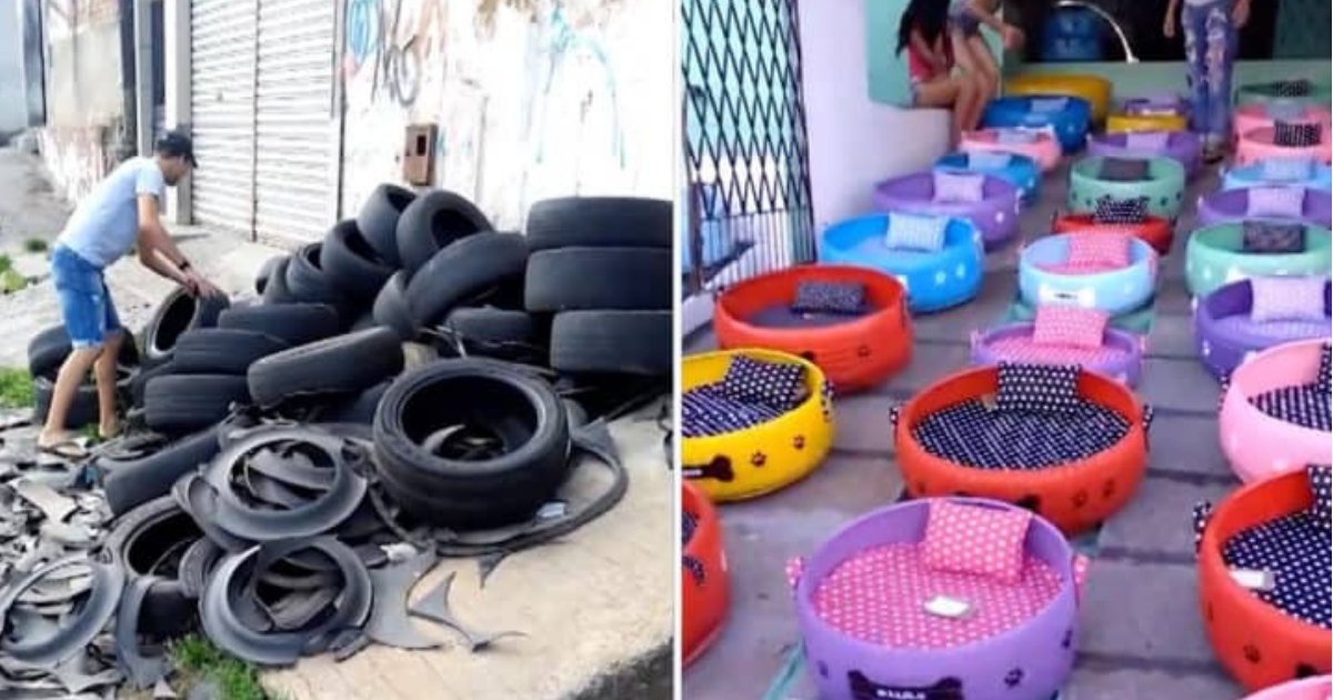 b4.png?resize=412,275 - This Artist Used Old Tires To Build Classy Pet Beds For Stray Animals