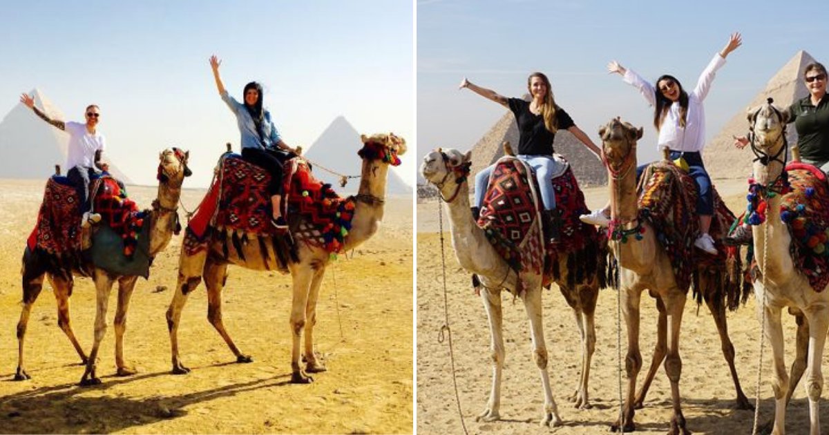 camels.png?resize=412,275 - Hidden Horror Behind Horse And Camel Rides In Popular Tourist Destination Revealed