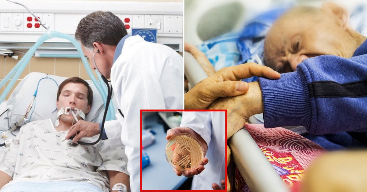 candida5.png?resize=412,275 - Drug-Resistant Infection Continues To Spread Around The World, Health Officials Warn