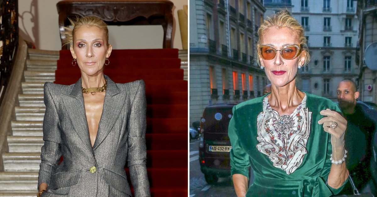 celine5.png?fit=1024%2C538&ssl=1&strip=all - Celine Dion Struck Back At Criticisms And Body-Shamers Concerned Over Her Slimmer Appearance