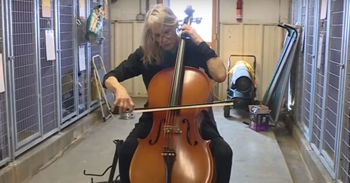 cello 4 dogs.jpg?resize=1200,630 - Cette femme joue du violoncelle dans un refuge pour apaiser les chiens anxieux
