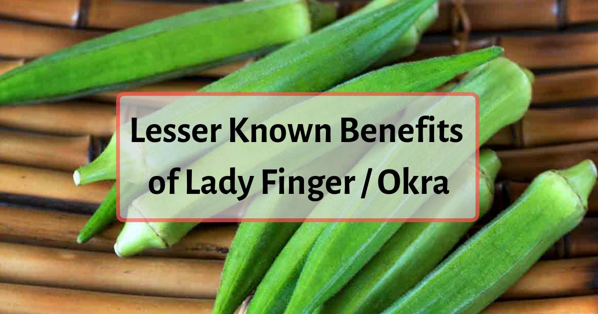 d2 9.png?resize=412,232 - Okra, a Great Vitamin and Mineral Supplier and How it Can Reduce Bad Cholesterol