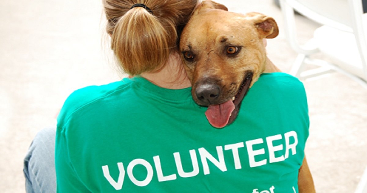 d3 6.jpg?resize=1200,630 - Une bénévole a partagé son expérience déchirante dans un refuge pour animaux
