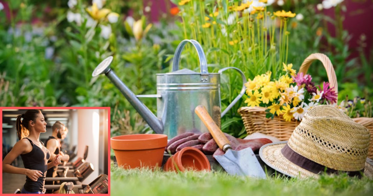 d3 9.png?resize=412,275 - A New Study Claims That Gardening Can Be As Healthy as is Visiting a Gym