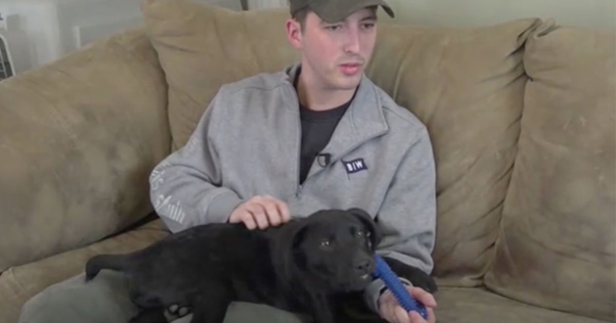deaf man adopted a puppy who is also deaf and taught him sign language to communicate.jpg?resize=1200,630 - Deaf Man Adopted A Puppy Who Is Also Deaf And Taught Commands In Sign Language
