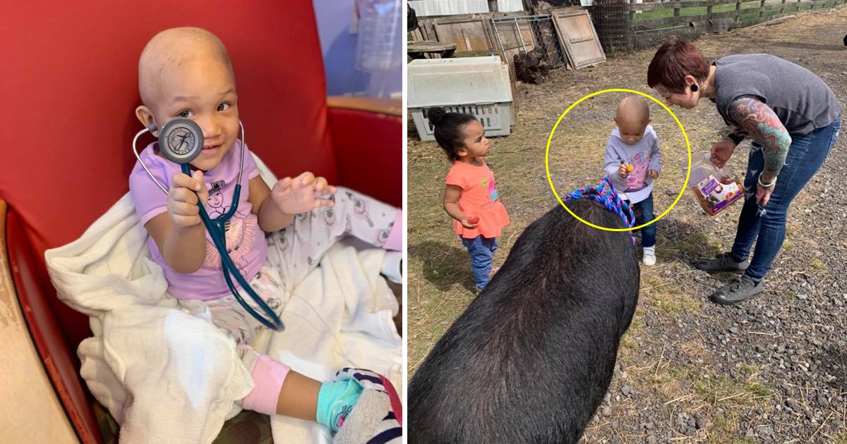 dfdfd.jpg?resize=412,275 - The Thrilling Story of a 2-years-old Cancer Patient Who Went for a Trip to Meet the Animal Closest to Her Heart