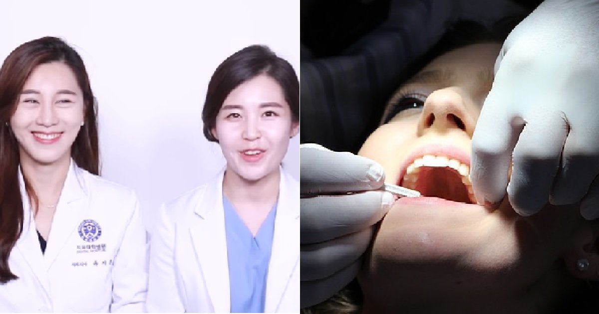 ec8db81 21.jpg?resize=1200,630 - "치과에서 아프면 손 들라고 하는 이유?" 현직 치과의사들의 '속마음' 공개 (영상)