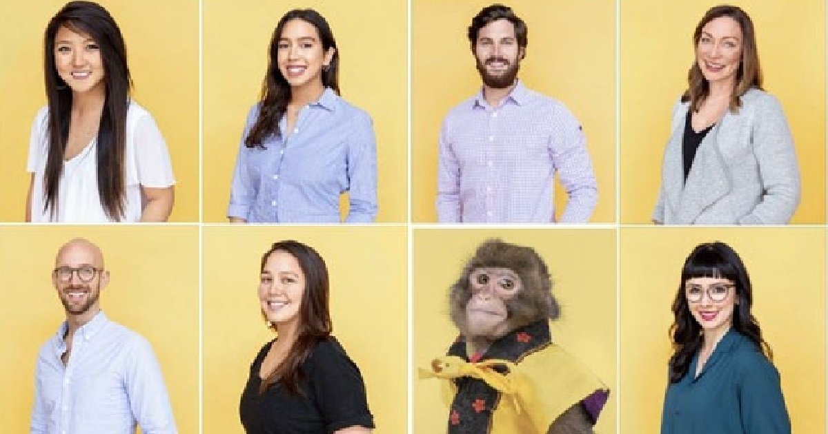 ec8db82 4.jpg?resize=1200,630 - "우리 모두 닮았나요?" 기자들도 응답한 '원숭이'와의 닮은꼴.jpg