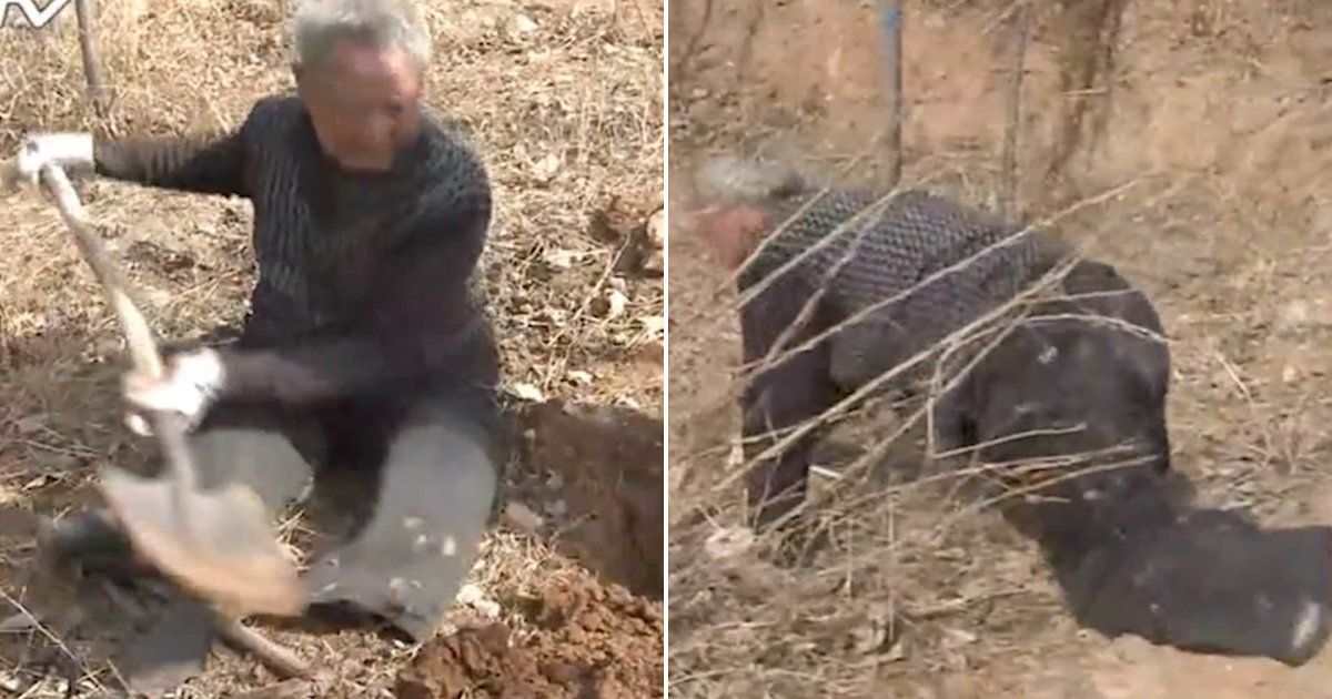 featured image 22.png?resize=412,232 - 70-Year-Old 'Legless' Chinese Veteran Planted 17,000 Trees On Barren Hills In Two Decades
