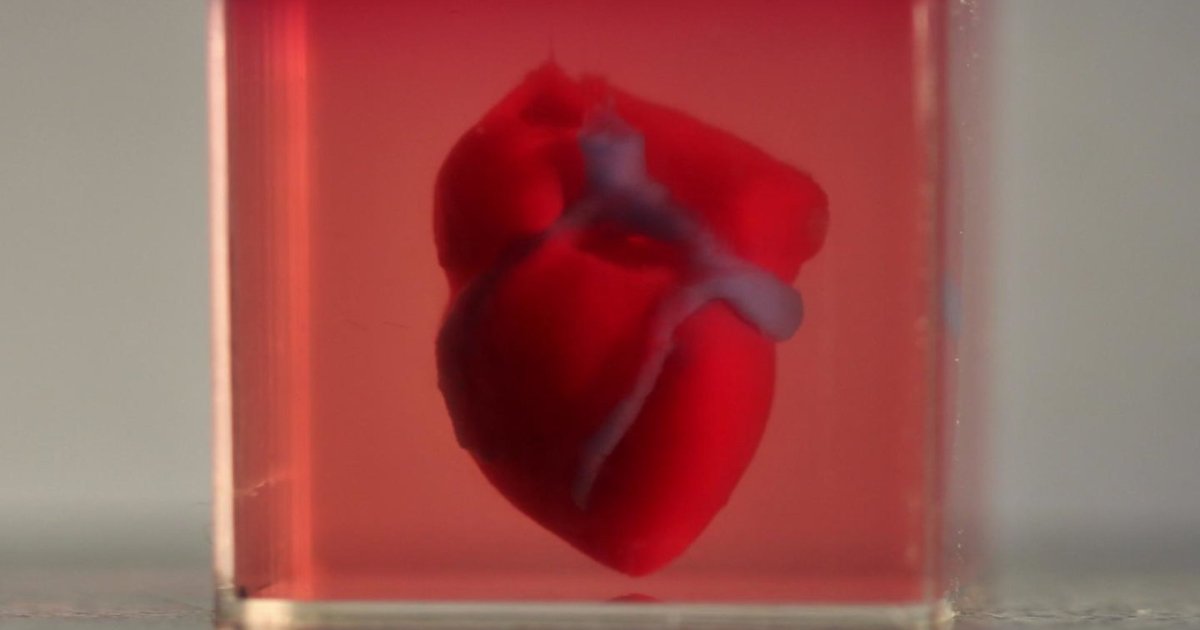featured image 37.png?resize=1200,630 - Scientists Printed World's First 3D HEART Containing Human Tissue And Blood Vessels