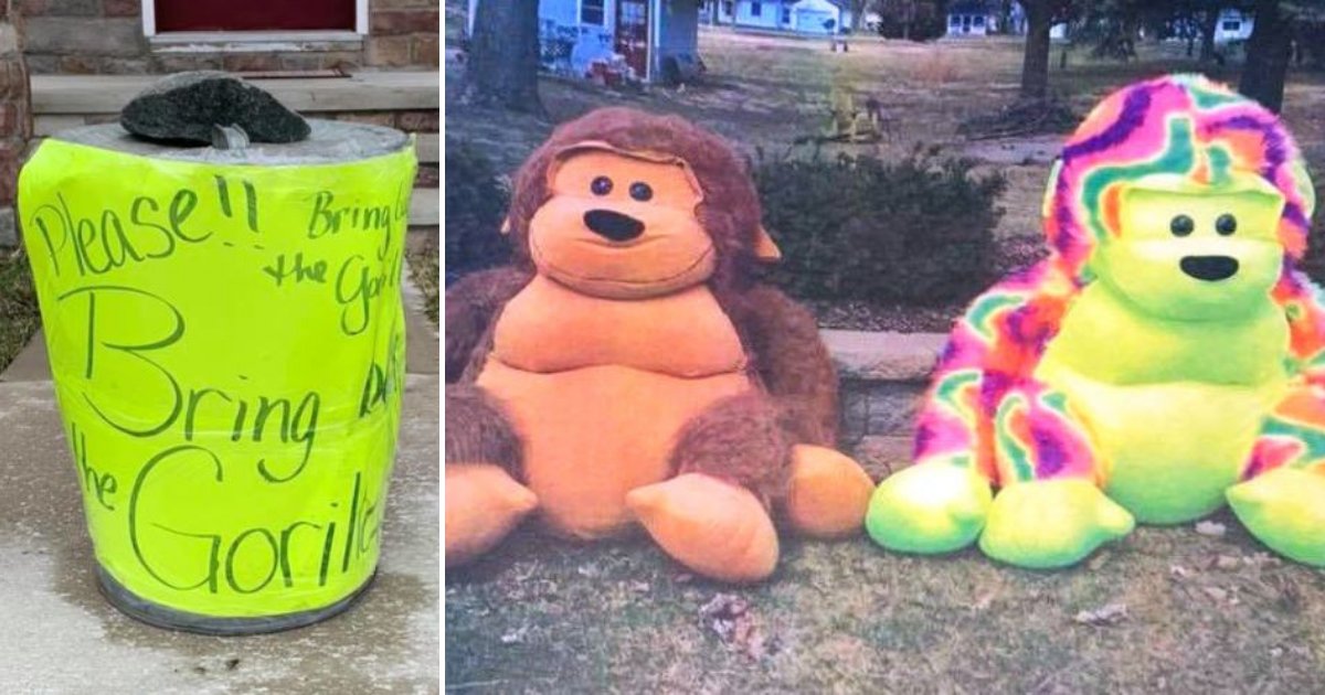gorillas5.png?resize=1200,630 - Man With Autism Prays For Return Of Stuffed Gorillas, Neighbors Go Beyond To Help