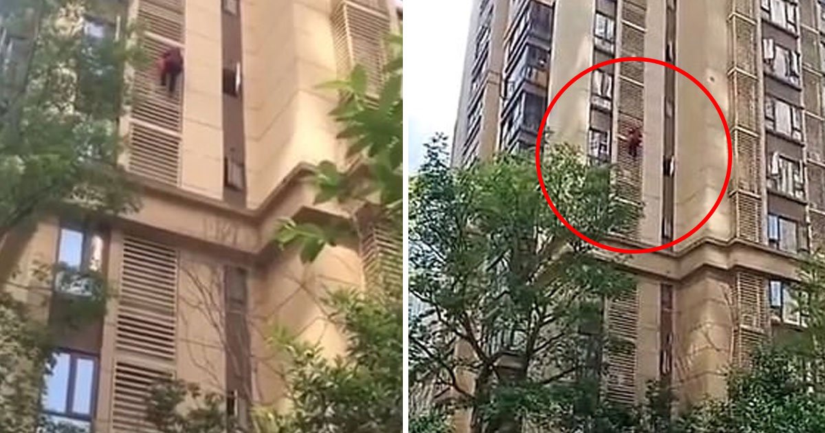 grandma climb down 14 storey.jpg?resize=412,232 - Grandmother Tried To Escape From Her 14th-Floor Flat By Climbing Down Apartment Block With Bare Hands