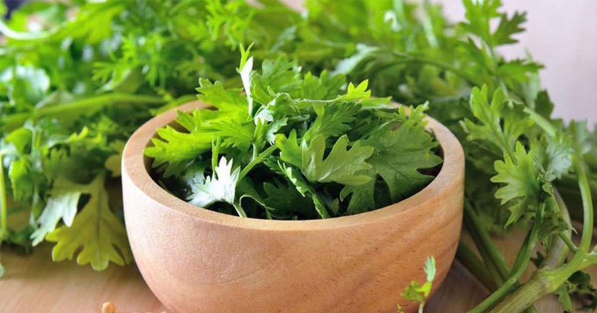 here is why cilantro taste like soap to some people.jpg?resize=412,275 - Here Is Why Cilantro Tastes Like Soap To Some People