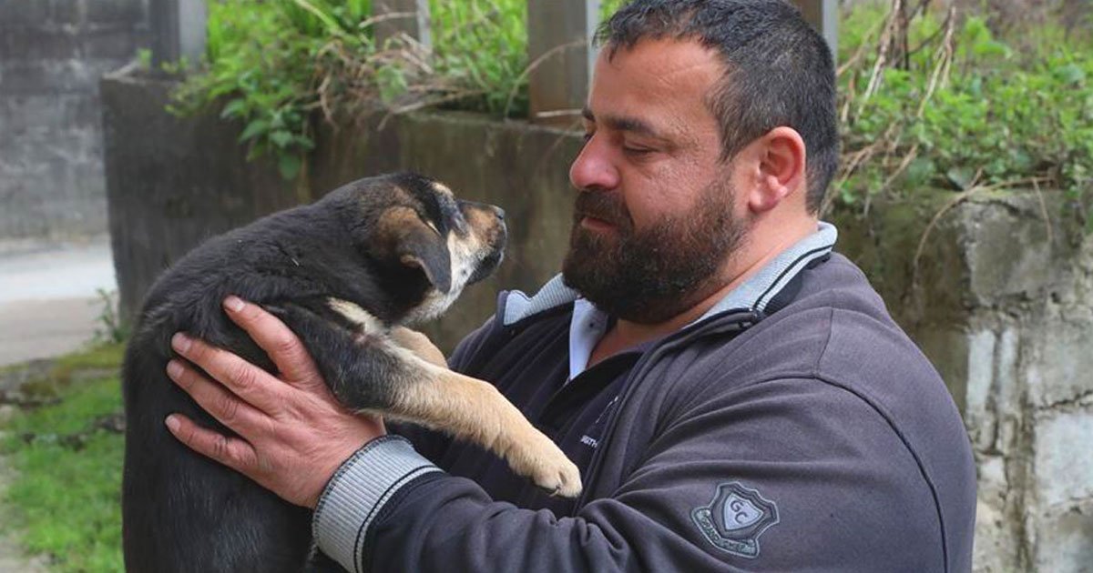 man saves dog.jpg?resize=412,275 - Man Saved A Choking Stray Puppy After A Piece Of Food Got Stuck In Its Throat