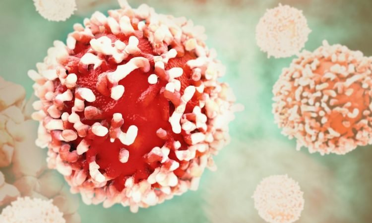 Image result for cancer cells 750