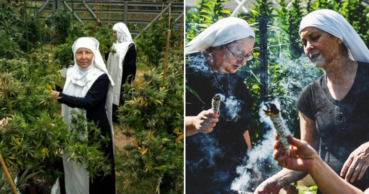 nuns7.png?resize=412,275 - Meet The Marijuana-Growing NUNS Who Get $1,100,000 A Year Selling Cannabis-Based Products