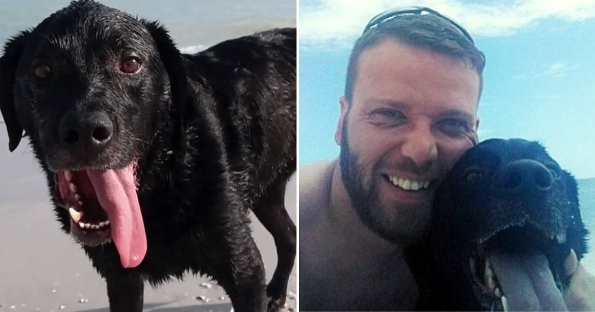 og5.png?resize=1200,630 - Man Warns Other Pet Owners To Not Make The Same Mistake After Beloved Dog Passed Away