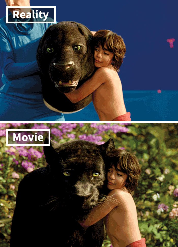 The Jungle Book (2016) The Jungle Book (2016)