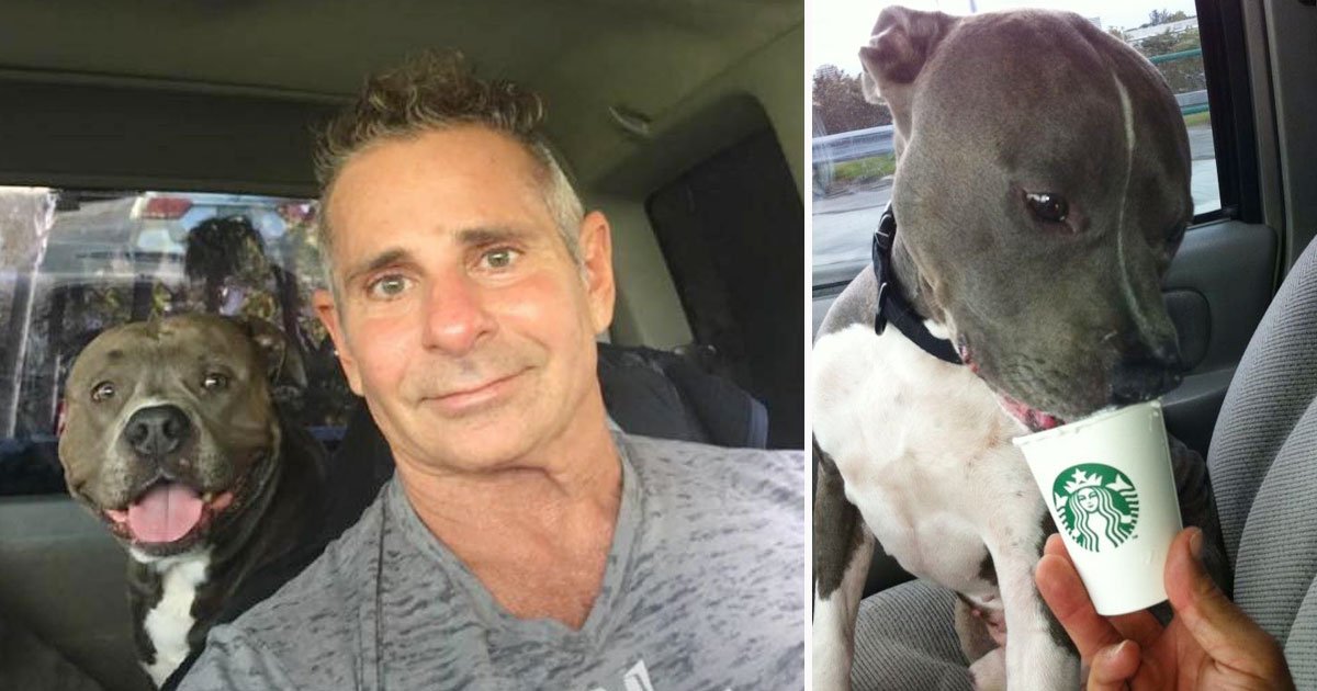 pitbull owner.jpg?resize=1200,630 - Owner Showed Up Just Two Days Before His Lost Pit Bull Was Scheduled To Be Put To Sleep