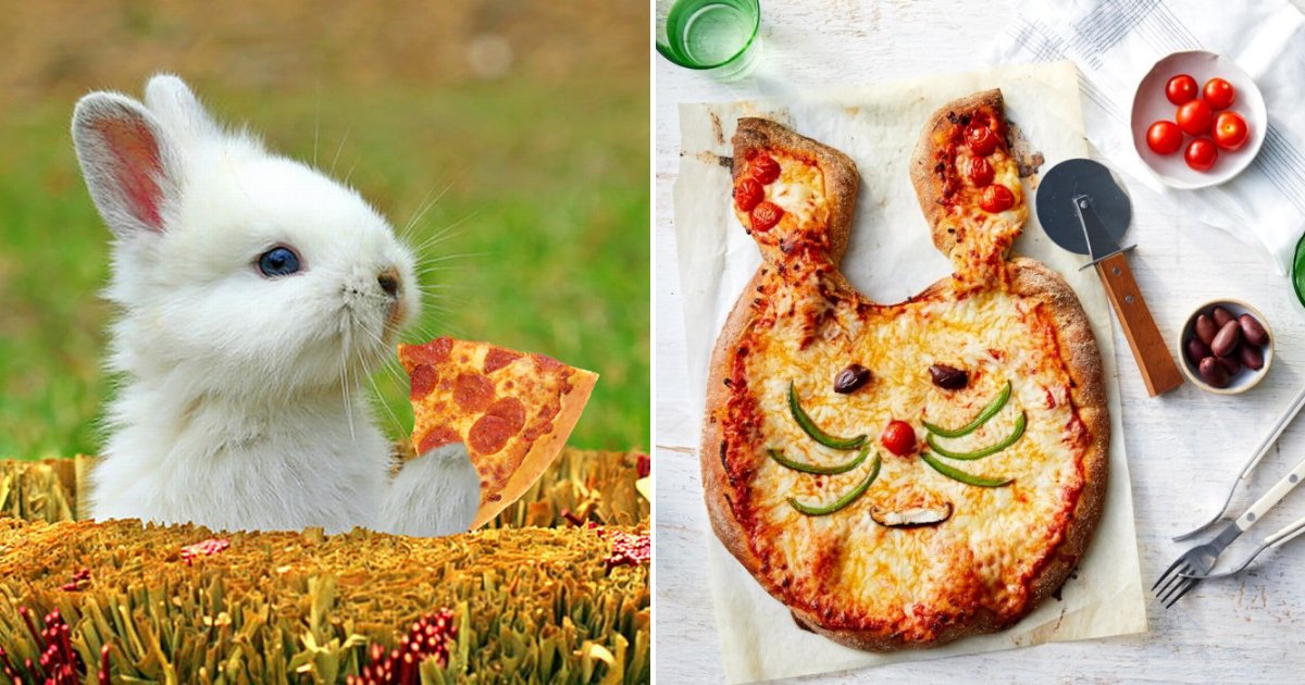 pizza2.png?resize=1200,630 - Entrez dans le printemps en cuisinant une pizza en lapin délicieuse pour toute la famille