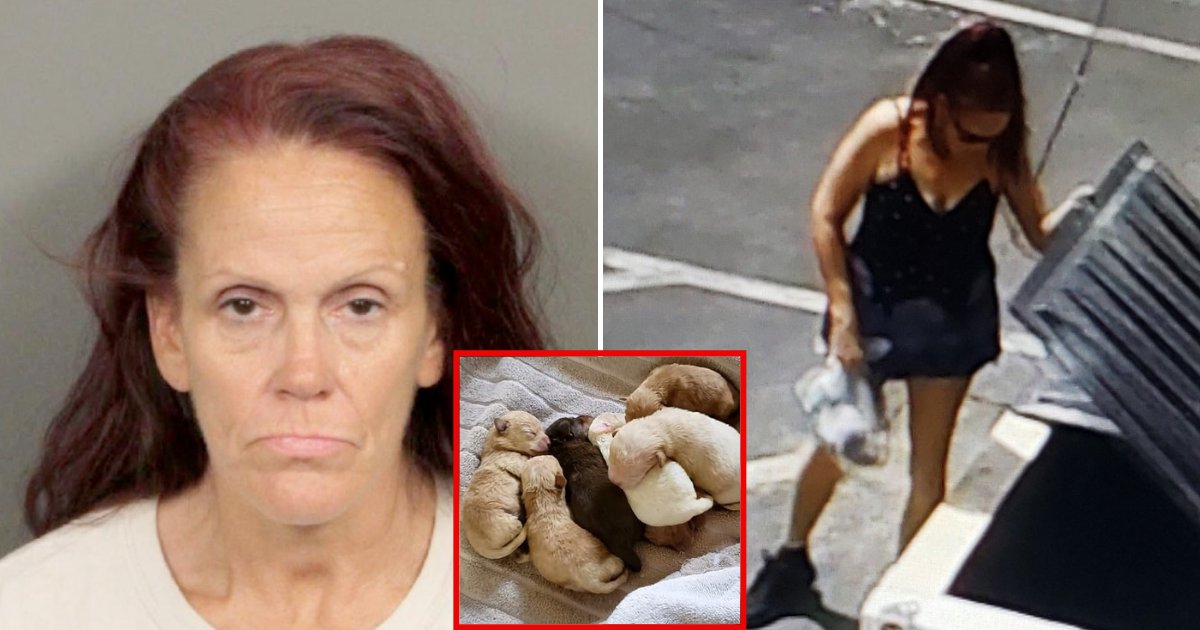 puppies.png?resize=1200,630 - Woman Caught Dumping Seven Newborn Puppies Into A Dumpster Behind A Store
