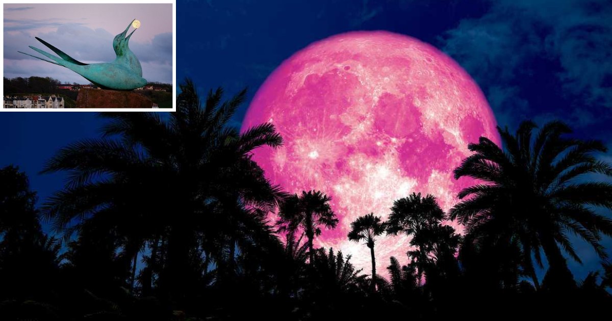 s1 11.png?resize=412,275 - Rare Pink Moon Phenomenon On Good Friday