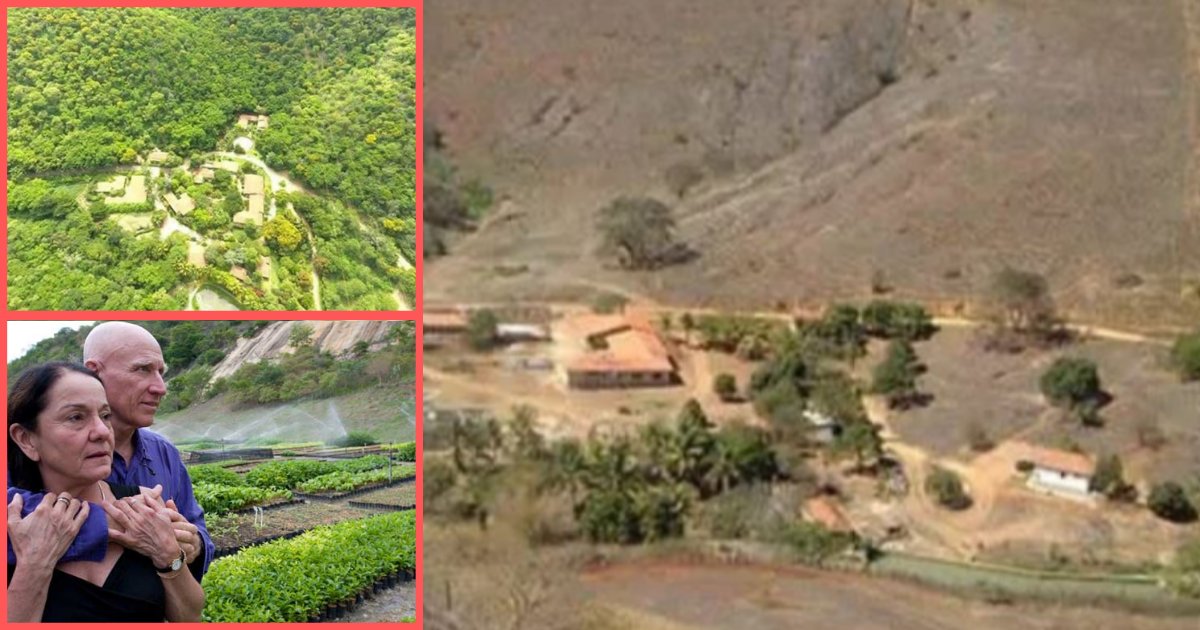 s1 15.png?resize=412,232 - A Brazilian Couple Has Successfully Revived A Forest By Planting More Than 2 Million Saplings