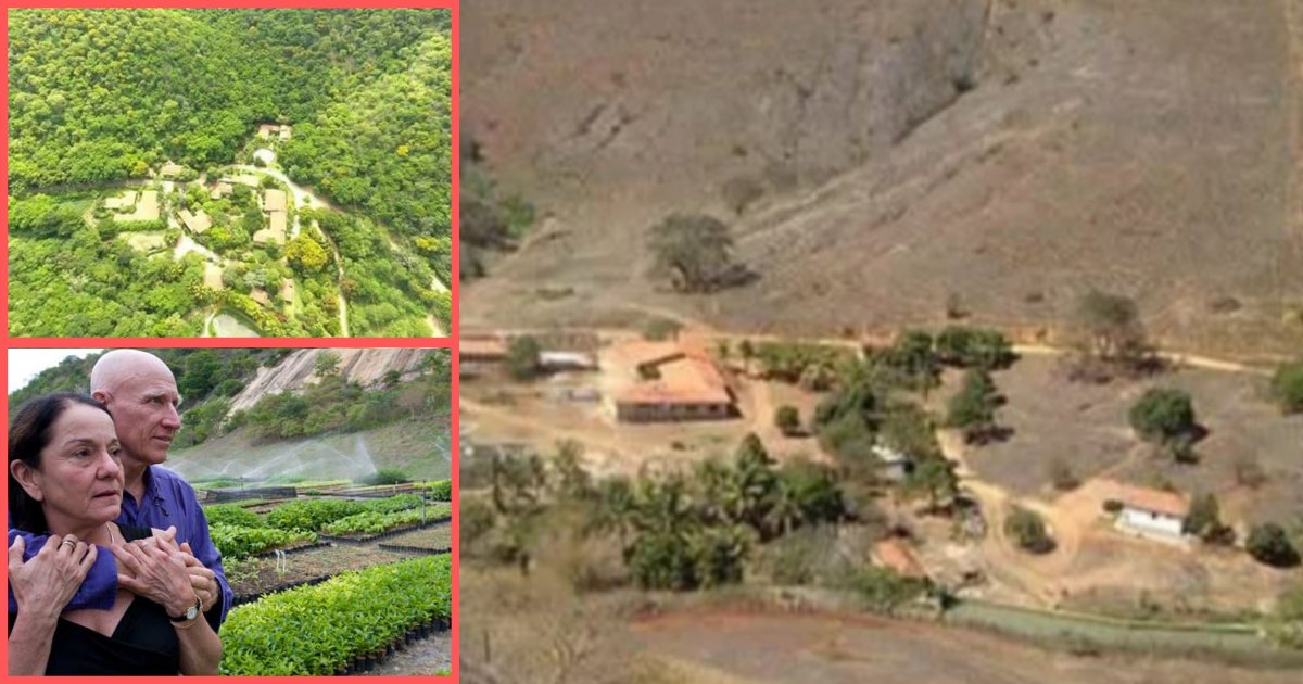 s1 15.png?resize=412,275 - A Brazilian Couple Has Successfully Revived A Forest By Planting More Than 2 Million Saplings