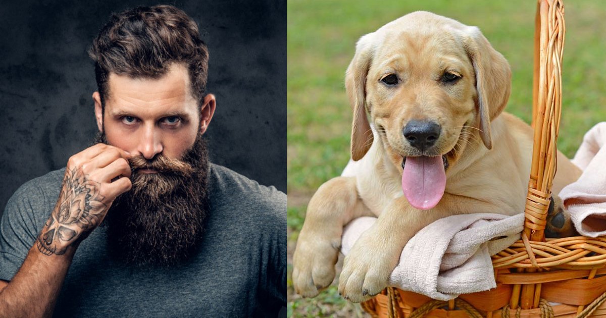 s1 9.png?resize=412,232 - A New Study Claims That Dogs Carry Less Germs Compared to Men Who Have Beards
