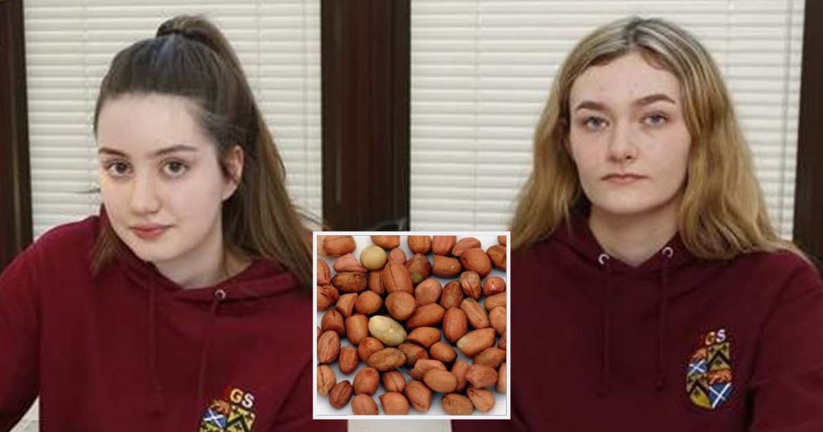 students1.png?resize=412,275 - School Girls Accused Of Scattering Nuts On The Desk Of Their Severely Allergic Teacher
