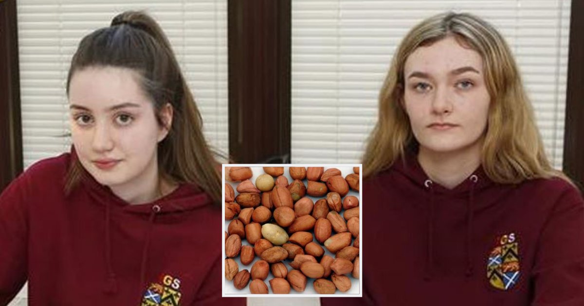 students1.png?resize=412,232 - School Girls Accused Of Scattering Nuts On The Desk Of Their Severely Allergic Teacher