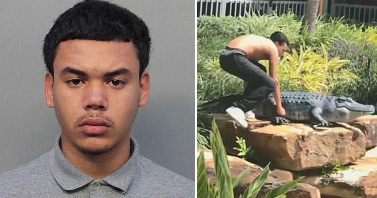 teen arrested fake alligator.jpg?resize=412,232 - Teen - Who Attempted To Perform A WWE Move On His Principal - Has Been Arrested For Wrestling A Fake Alligator At A Shopping Mall