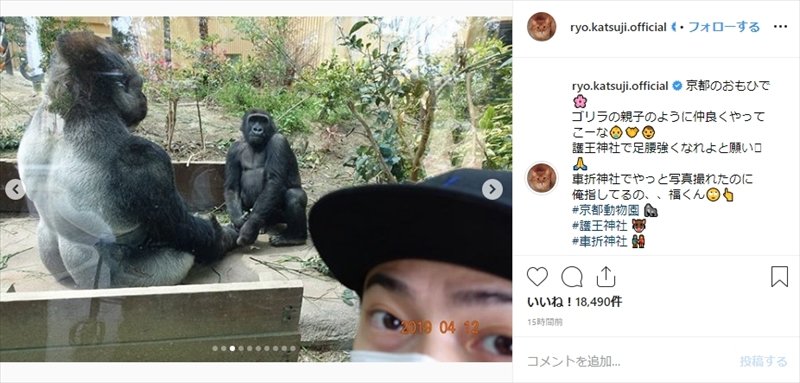 åå°ãããã´ãªã©ã®è¦ªå­ã®ããã«ä»²è¯ããã£ã¦ãã¼ãªãï¼ç»åã¯åå°æ¶¼Instagramããï¼