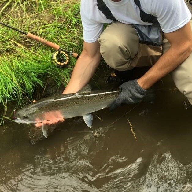 Caught a fish and the photo makes it look transparent.