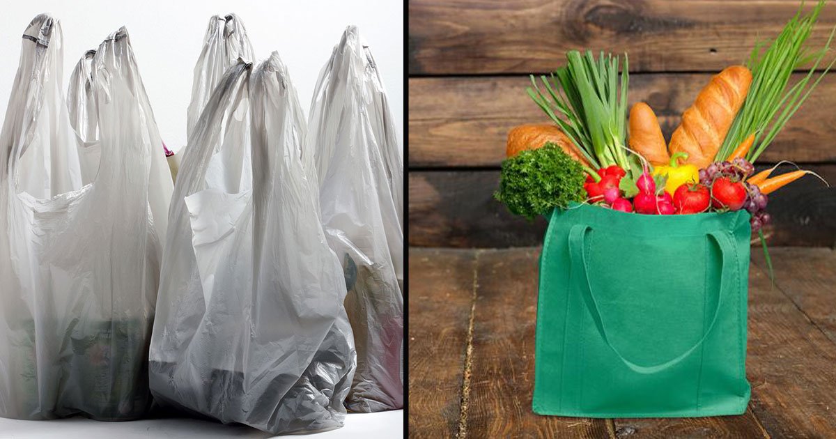 untitled 1 42.jpg?resize=1200,630 - L'interdiction des sacs en plastique pourrait finalement ne pas être le meilleur choix environnemental