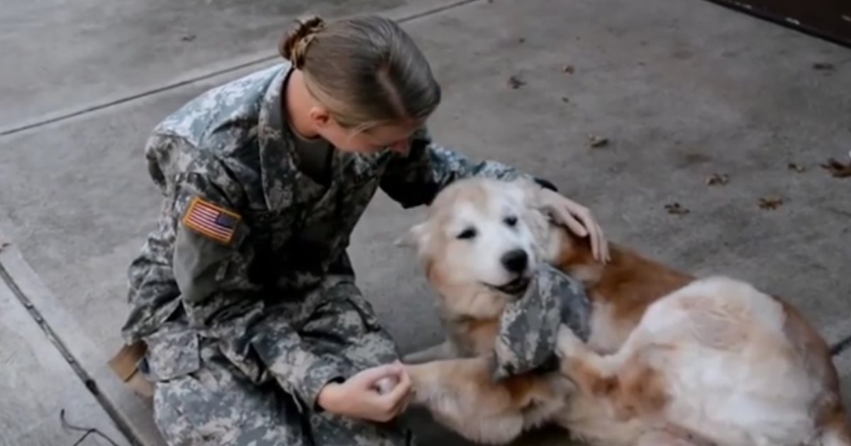 untitled design 1.png?resize=412,232 - An Adorable Moment Where a Senior Pup is Standing in Front of Her Soldier Owner