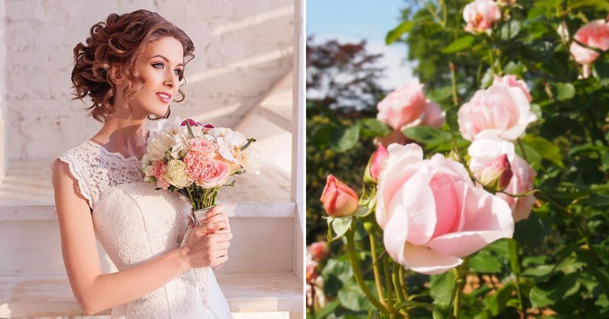 untitled design 59 1.png?resize=1200,630 - Une mariée a volé pour 250 euros de roses à une jardinière passionnée pour son mariage