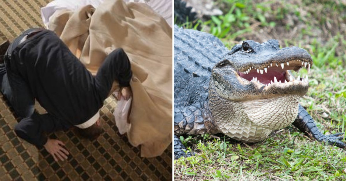 untitled design 68.png?resize=412,275 - Farmer Woke Up And Discovered Giant Crocodile Resting Under His Bed