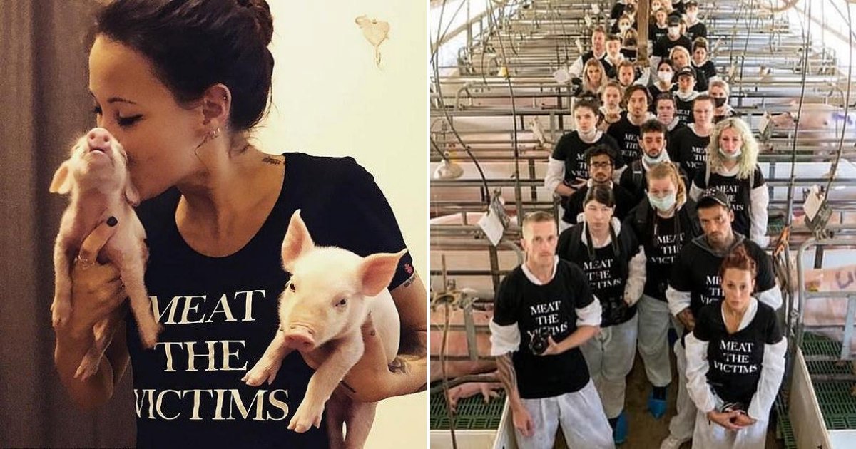 untitled design 84.png?resize=412,275 - Vegan Activist Who Stormed Farmer's Land With 150 Vegan Militants Appeared In Court