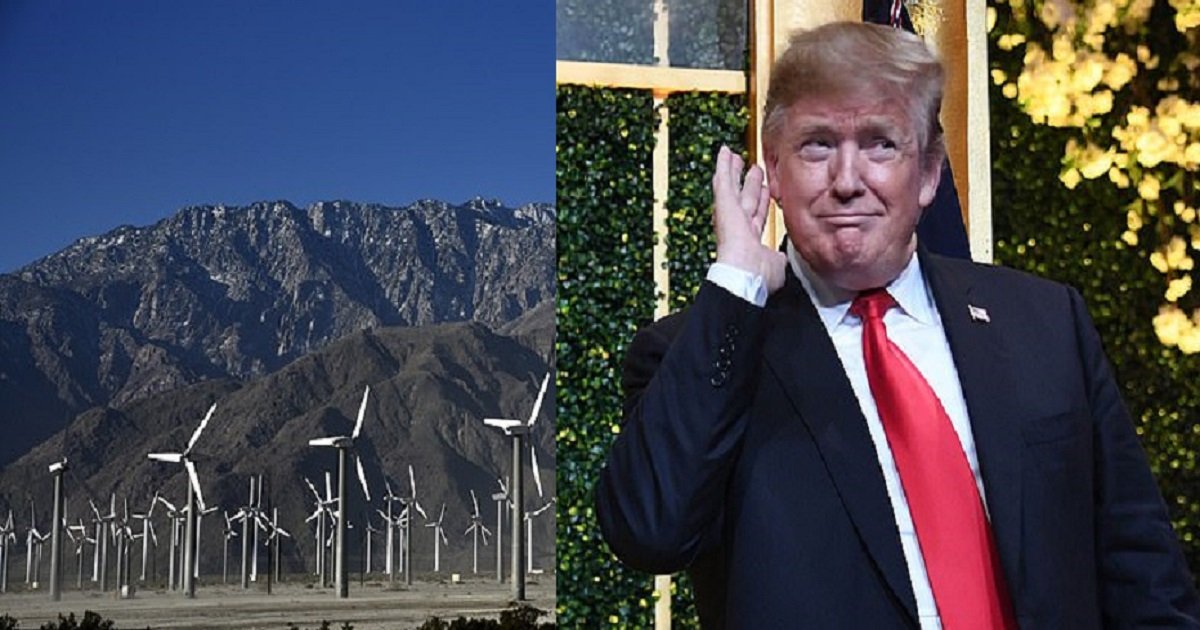 w3 2.jpg?resize=412,275 - Trump: 'The Noise Generated By Windmills Cause Cancer'