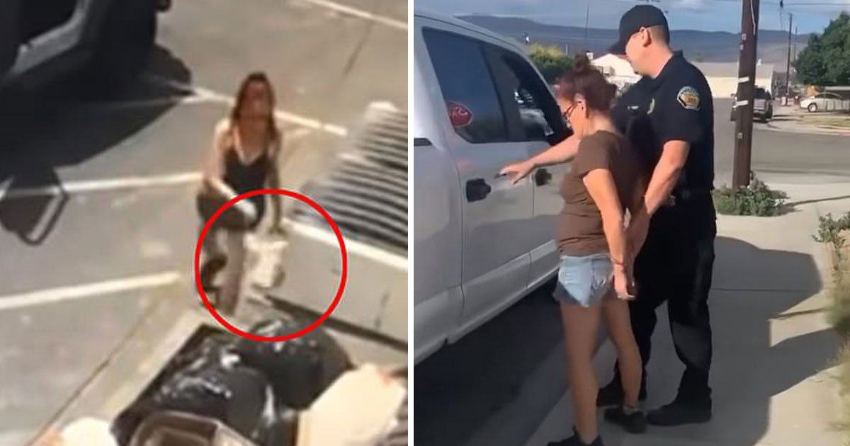 woman threw puos.jpg?resize=1200,630 - Woman - Who Threw A Bag Of Seven Newborn Puppies Into A Trash Bin In Coachella - Has Been Arrested