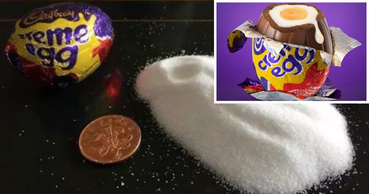 y1 10.png?resize=412,275 - The Amount of Sugar One Creme Egg Contains Will Shock You