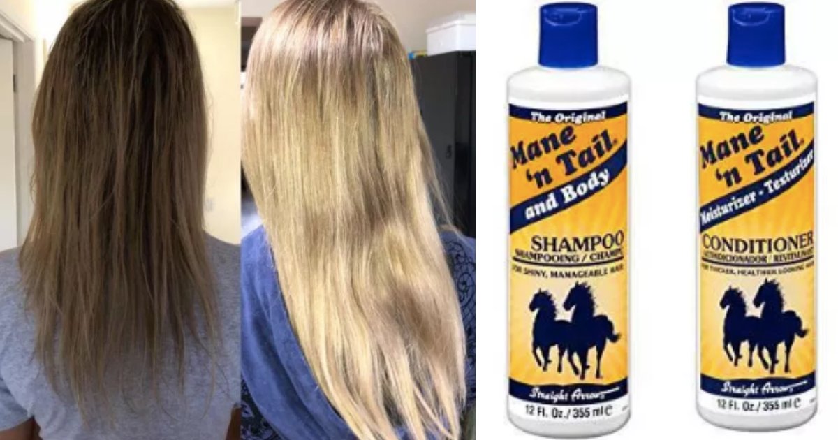 y2 12.png?resize=1200,630 - Horse Shampoo Promises Hair Regrowth And Has More Than 1000 Reviews On Amazon