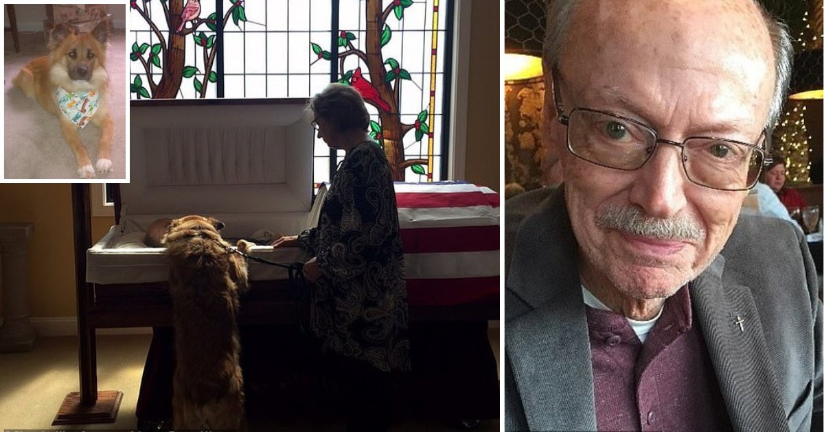 y2 15.png?resize=412,275 - Touching Photograph Shows Dog On His Hind Legs Leaning On His Owner's Casket to Bid Final Goodbye