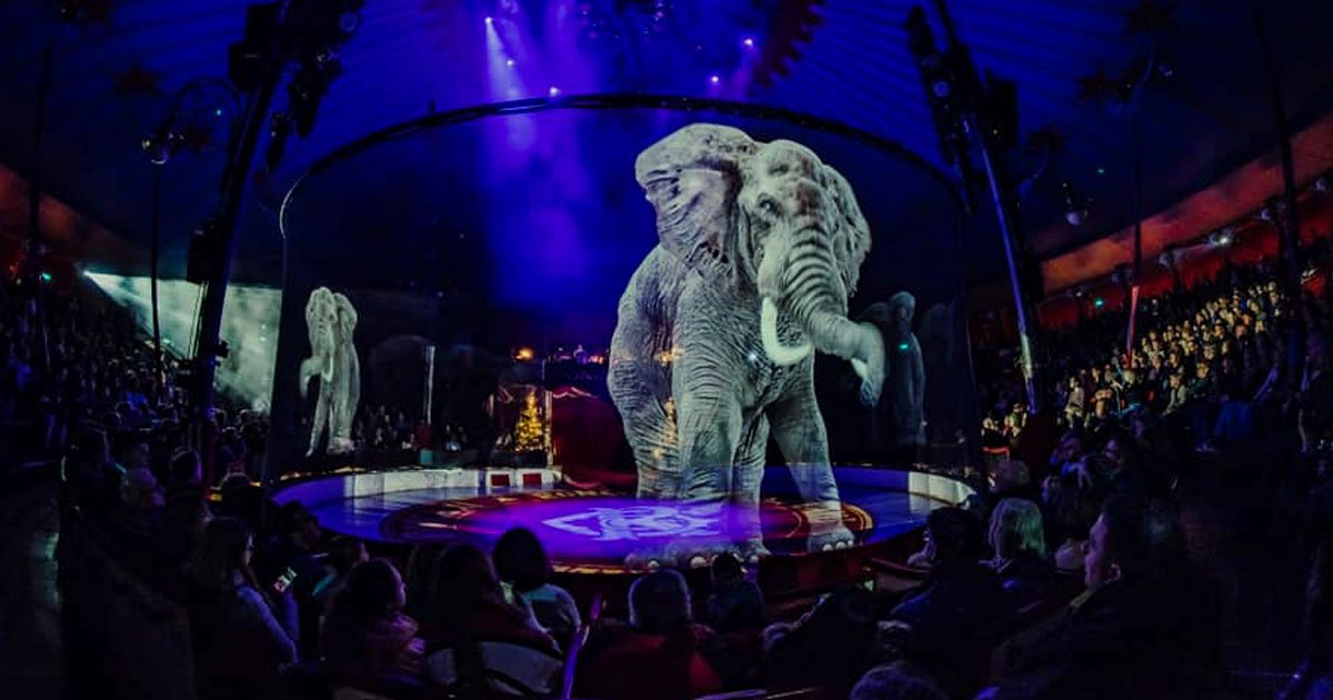 1 3.jpg?resize=1200,630 - 10 Países que prohibieron el circo con animales, demostrando que se puede hacer un espectáculo libre de crueldad