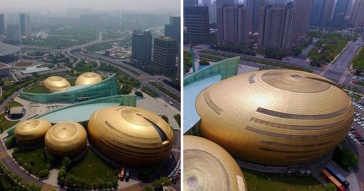 10 17.jpg?resize=1200,630 - 1700억 쏟아부어 만든 중국 '황금알'의 놀라운 정체.jpg