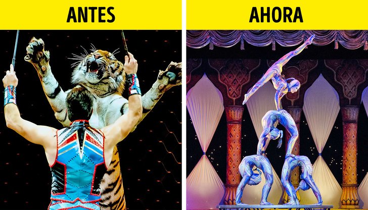 10 Países que prohibieron el circo con animales, demostrando que se puede hacer un espectáculo libre de crueldad